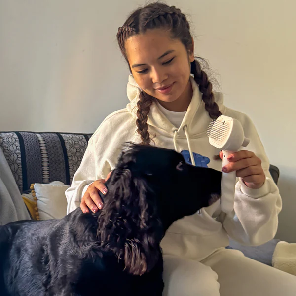 Pälsborsten - Bada Din Hund Utan Vatten