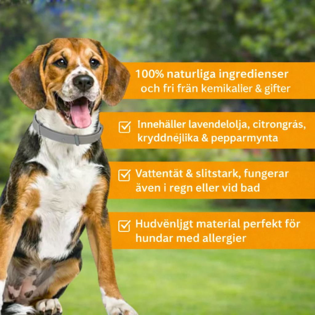 Fästingshalsband för Hund